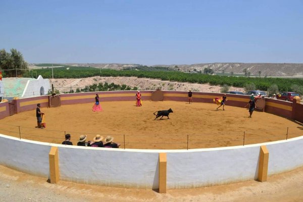 Capea para despedidas en Murcia